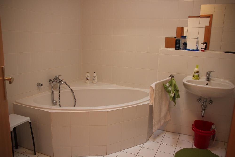 Apartment Am Fluss/Park Лайпциг Екстериор снимка