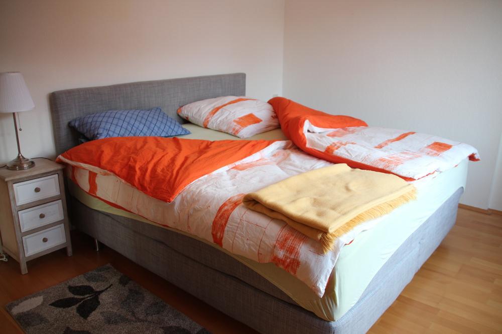 Apartment Am Fluss/Park Лайпциг Екстериор снимка